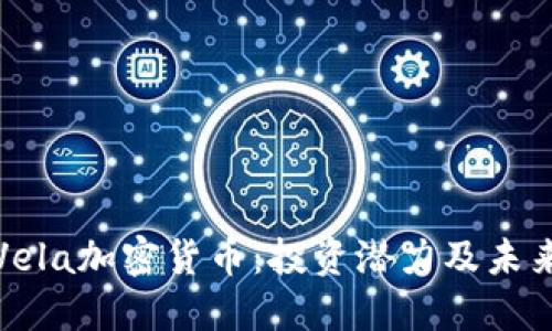 深入解读Vela加密货币：投资潜力及未来发展趋势