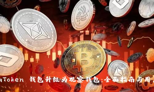 如何将 ImToken 钱包升级为观察钱包：全面指南与用户收益分析