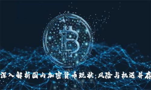 深入解析国内加密货币现状：风险与机遇并存
