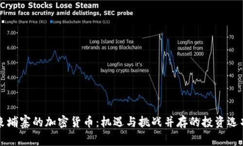 柬埔寨的加密货币：机遇与挑战并存的投资选项