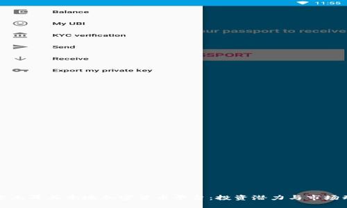 解密土耳其本地加密货币平台：投资潜力与市场动态