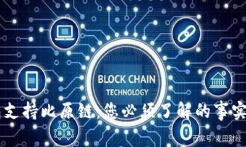 IM钱包支持比原链：您必须了解的事实与优势