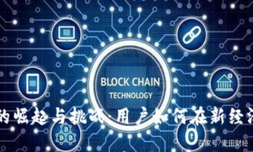 中心化加密货币的崛起与挑战：用户如何在新经济中获取最大收益