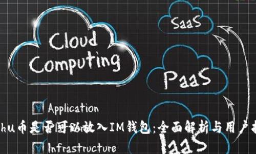Kishu币是否可以放入IM钱包：全面解析与用户指南