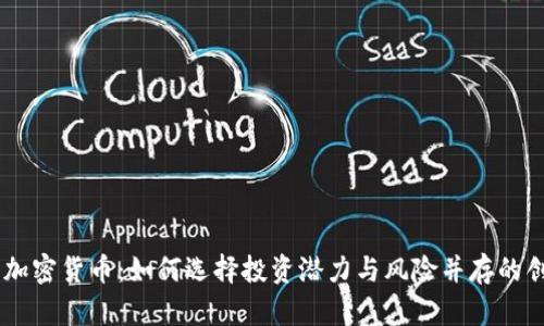 新成立加密货币：如何选择投资潜力与风险并存的创新项目