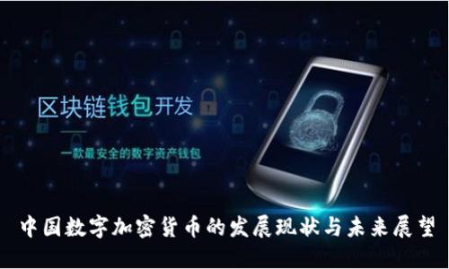 中国数字加密货币的发展现状与未来展望