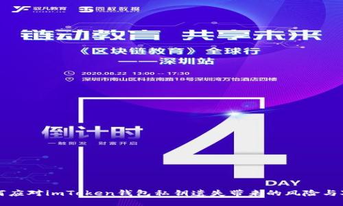 如何应对imToken钱包私钥遗失带来的风险与对策