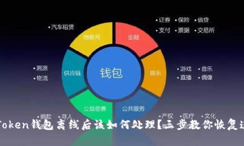 imToken钱包离线后该如何处理？三步教你恢复连接