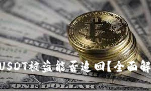 imToken钱包USDT被盗能否追回？全面解析与应对策略