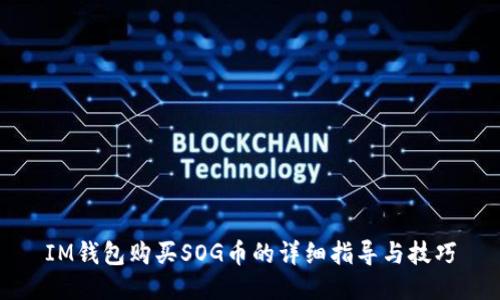 IM钱包购买SOG币的详细指导与技巧