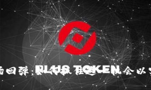 加密货币市场回弹：如何抓住这一机会以实现投资收益