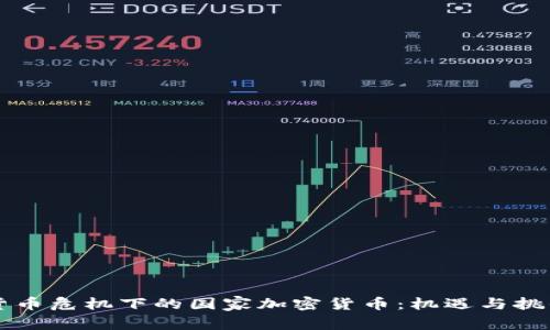 货币危机下的国家加密货币：机遇与挑战