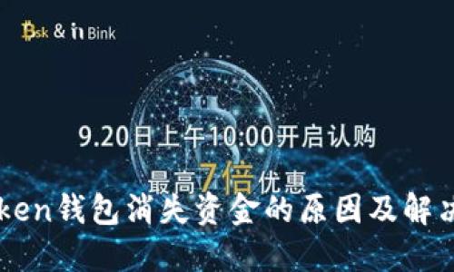 imToken钱包消失资金的原因及解决方法