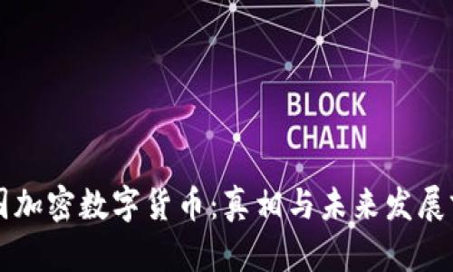 中国加密数字货币：真相与未来发展前景