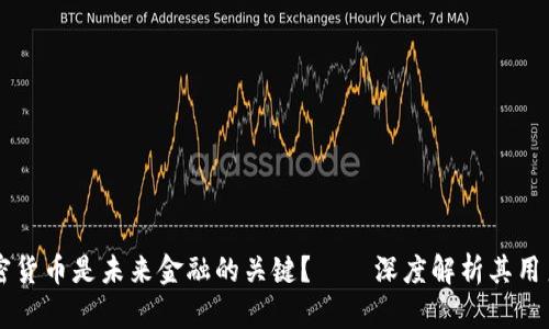 为什么集中化加密货币是未来金融的关键？——深度解析其用户价值与市场潜力