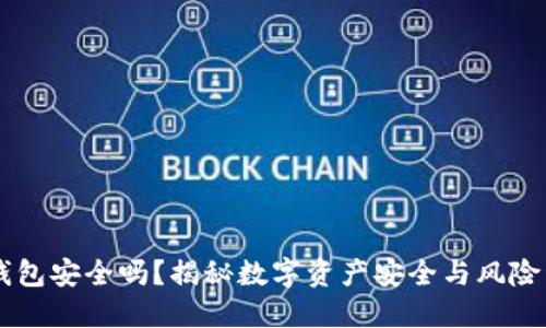IM钱包安全吗？揭秘数字资产安全与风险管理