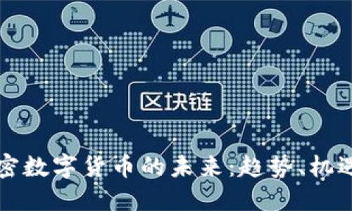 苏州加密数字货币的未来：趋势、机遇与挑战