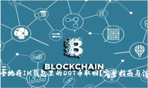 如何安全地将IM钱包里的DOT币取回？完整指南与注意事项