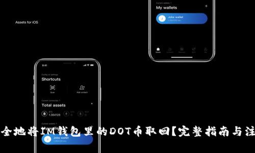 如何安全地将IM钱包里的DOT币取回？完整指南与注意事项