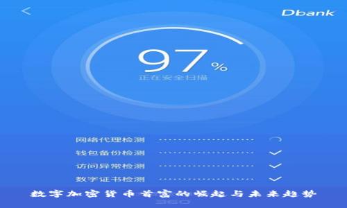 数字加密货币首富的崛起与未来趋势