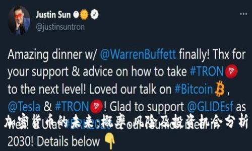 加密货币的未来：概率、风险及投资机会分析