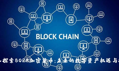 深入探索BORA加密货币：未来的数字资产机遇与挑战