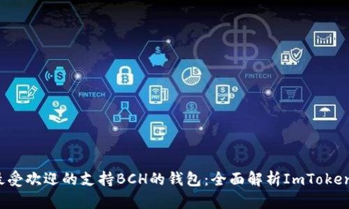2023年最受欢迎的支持BCH的钱包：全面解析ImToken使用指南