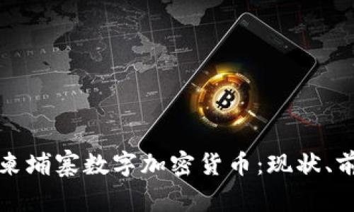 深入了解柬埔寨数字加密货币：现状、前景与挑战