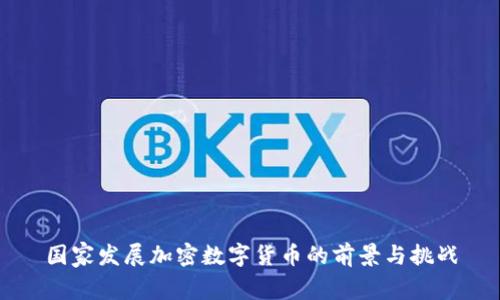 国家发展加密数字货币的前景与挑战