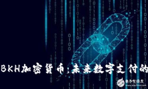深入了解BKH加密货币：未来数字支付的创新之路