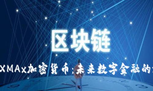 深入探讨DXMAx加密货币：未来数字金融的潜力与挑战
