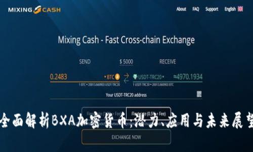 全面解析BXA加密货币：潜力、应用与未来展望