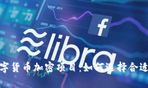 全面解析数字货币加密项目：如何选择合适的投资机会