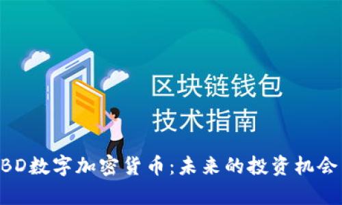 全面解析BBD数字加密货币：未来的投资机会与市场潜力