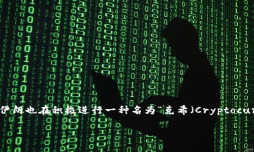 伊朗加密货币被称为“伊朗里亚尔（Iranian Rial，IRR）”，不过根据最新的信息，伊朗也在积极进行一种名为“克希（Cryptocurrency K）”的数字货币项目，旨在实现对市场的更好控制和推动本国经济发展。

### 伊朗加密货币：克希的全面解析