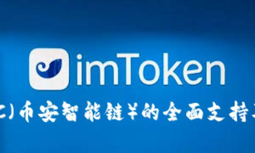 IM钱包对BSC（币安智能链）的全面支持及其功能解析