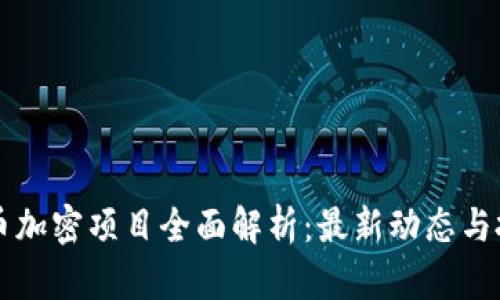 韩国货币加密项目全面解析：最新动态与投资前景