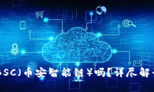 IM钱包支持BSC（币安智能链）吗？详尽解读与操作指南