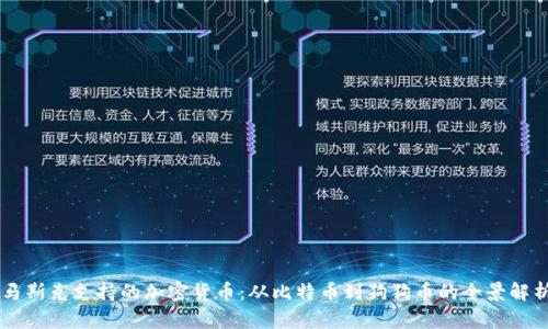 马斯克支持的加密货币：从比特币到狗狗币的全景解析