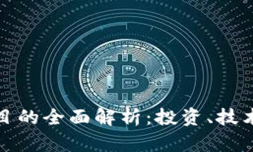 加密货币项目的全面解析：投资、技术和市场动态