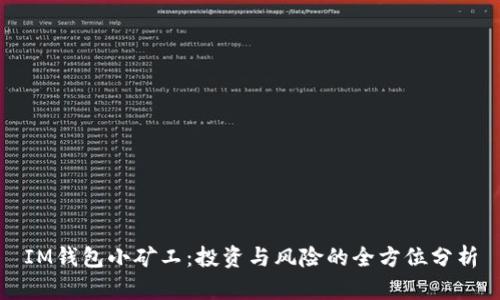 IM钱包小矿工：投资与风险的全方位分析