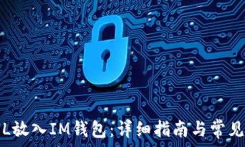   
如何将FIL放入IM钱包：详细指南与常见问题解答