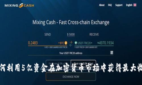如何利用5亿资金在加密货币市场中获得最大收益