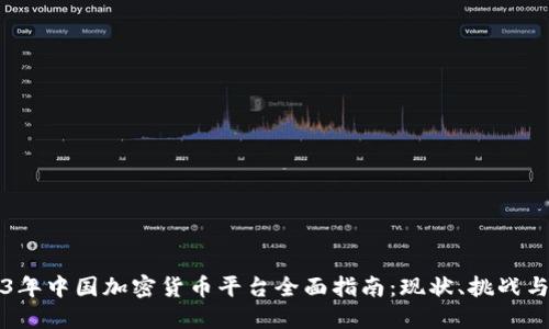 2023年中国加密货币平台全面指南：现状、挑战与未来