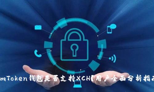 imToken钱包是否支持XCH？用户全面分析指南