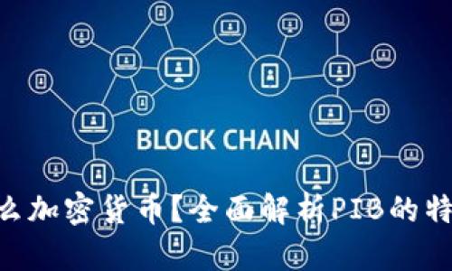 PIB是什么加密货币？全面解析PIB的特点及应用