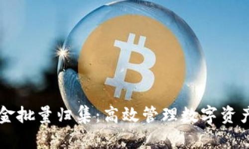 IM钱包资金批量归集：高效管理数字资产的新选择