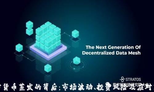 
加密货币蒸发的背后：市场波动、投资风险及应对策略