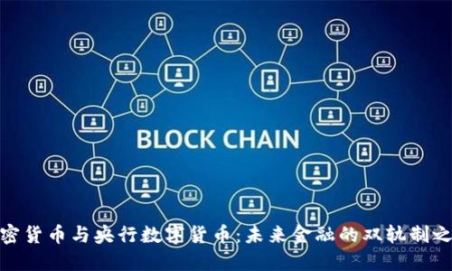 加密货币与央行数字货币：未来金融的双轨制之路