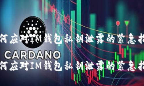 如何应对IM钱包私钥泄露的紧急指南

如何应对IM钱包私钥泄露的紧急指南